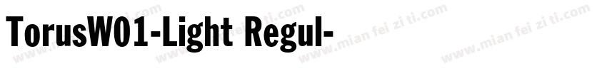 TorusW01-Light Regul字体转换